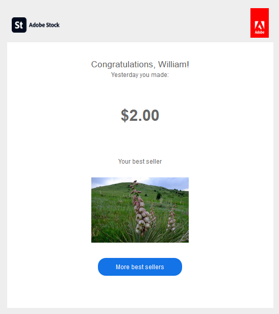 Is Adobe Stock Worth it in 2023? Adobe Stock Contributor Review